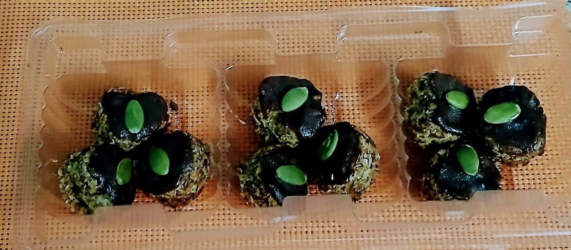 Healthy chocolate oats bites Healthy Chocolate Oats Bites <br>Pack of 12 - Image 1